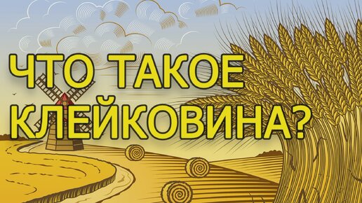 Технологии пекарни. Что такое клейковина?