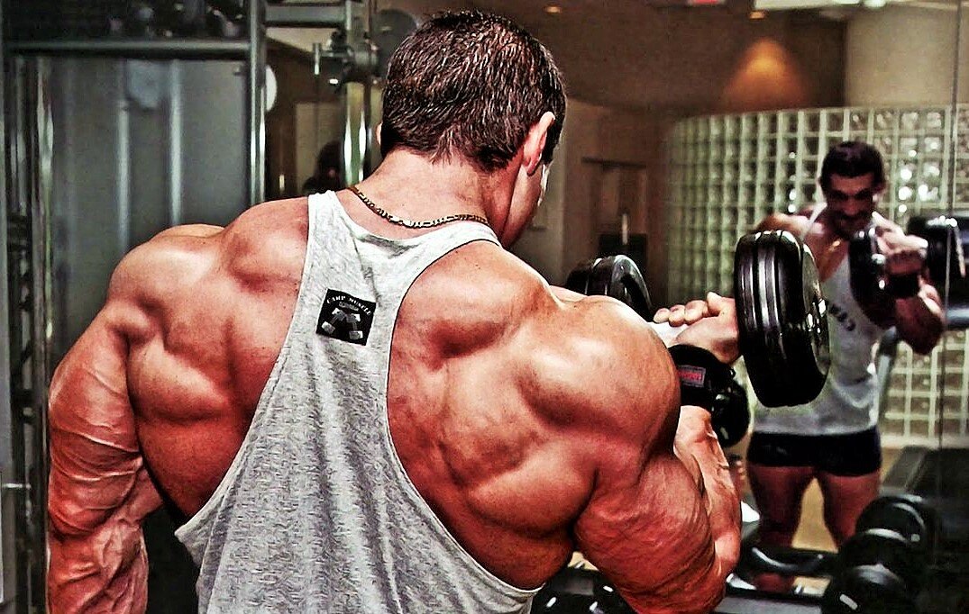 Бицепс - малая мышечная группа, тренировать ее с помощью больших весов просто неоправданно