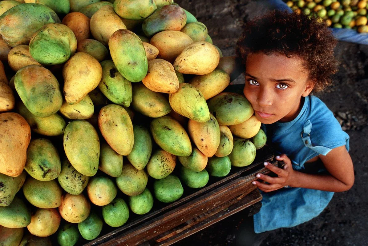 Купить из заграницы. Манго, Доминикана. Манго из Доминиканы. Кубинское манго. Манго в Индонезии.