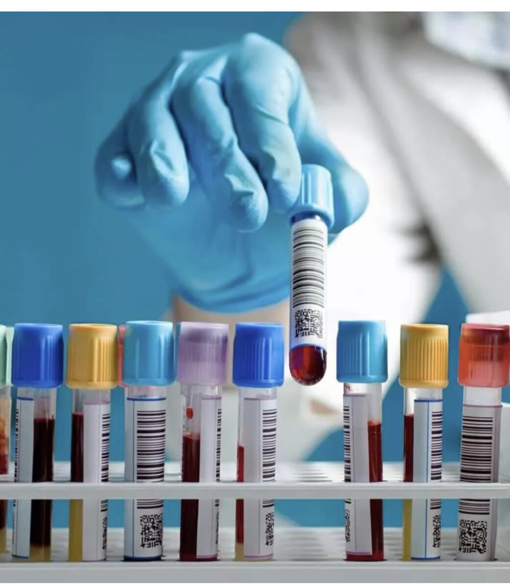 Яндекс картинка