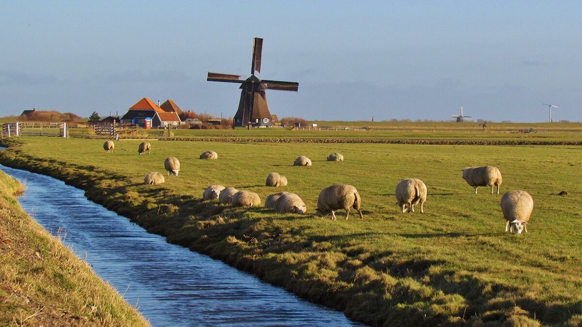 Нидерланды (источник: badfon.ru)