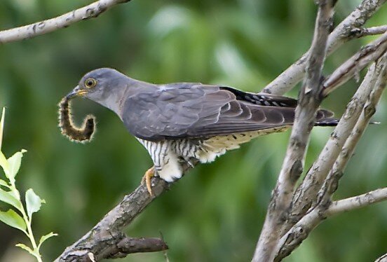 Изображение взято из открытых источников 