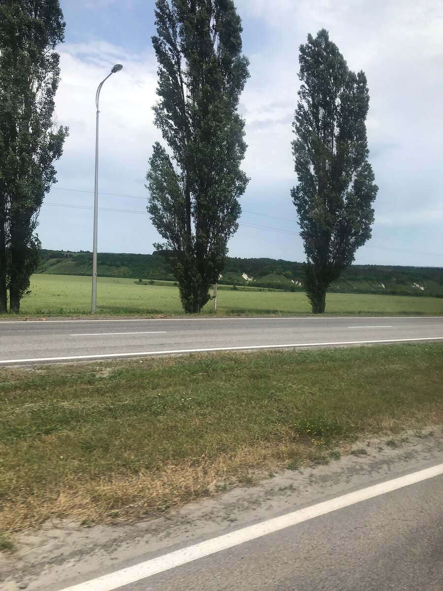 Ещё примерно Белгородская область