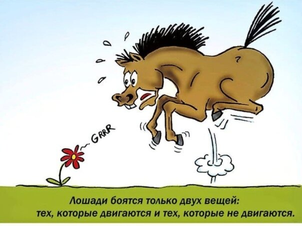 Иллюстрация для статьи. Картинка неизвестного автора с Яндекс-картинки