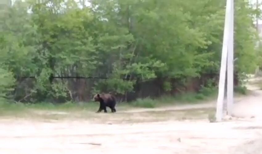 Кадры из видео: Telegram-канал «ЧП Сахалин»