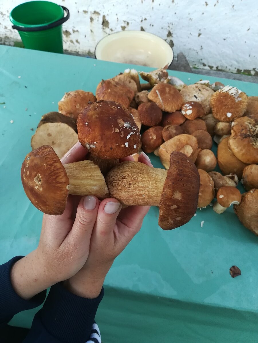 На вкус они также прекрасны как и на вид.