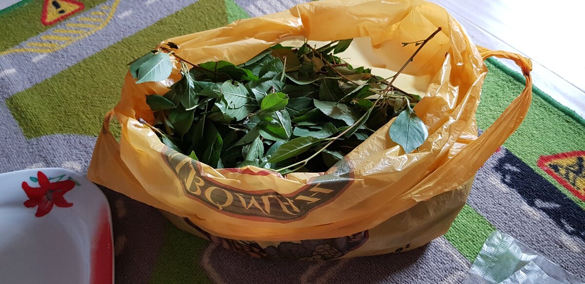 Вишневые листики