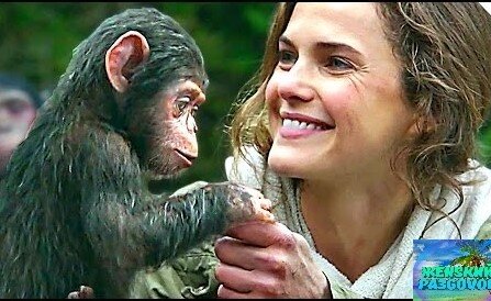 Фото добавлено с Яндекс.картинки