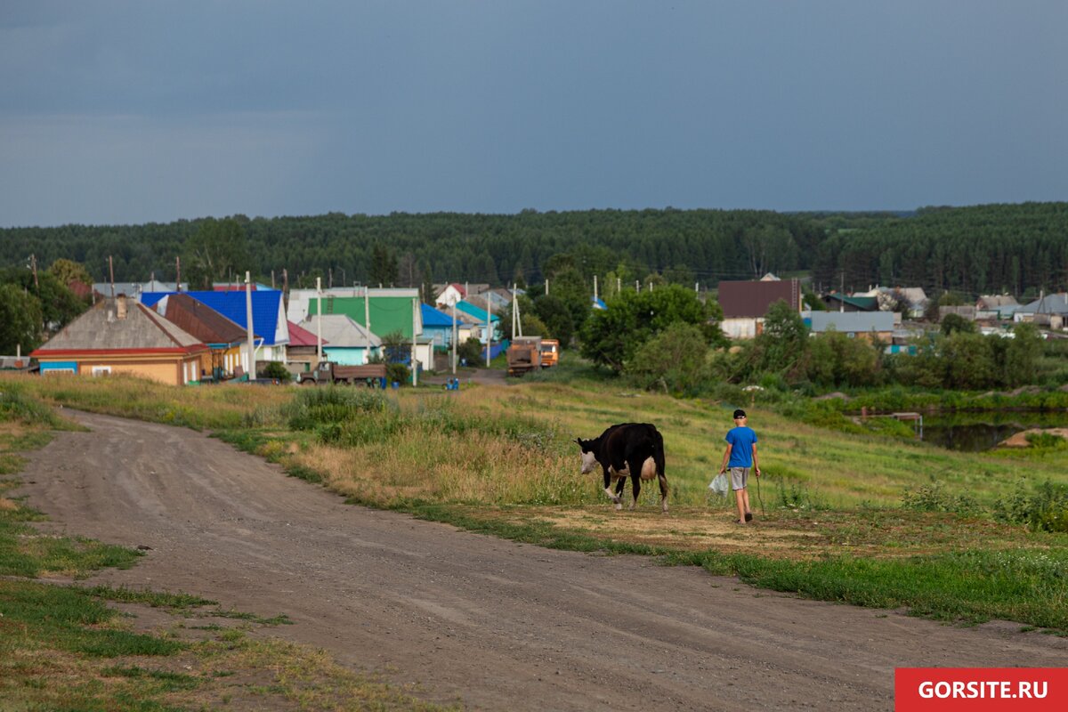 Село в тогучинском районе