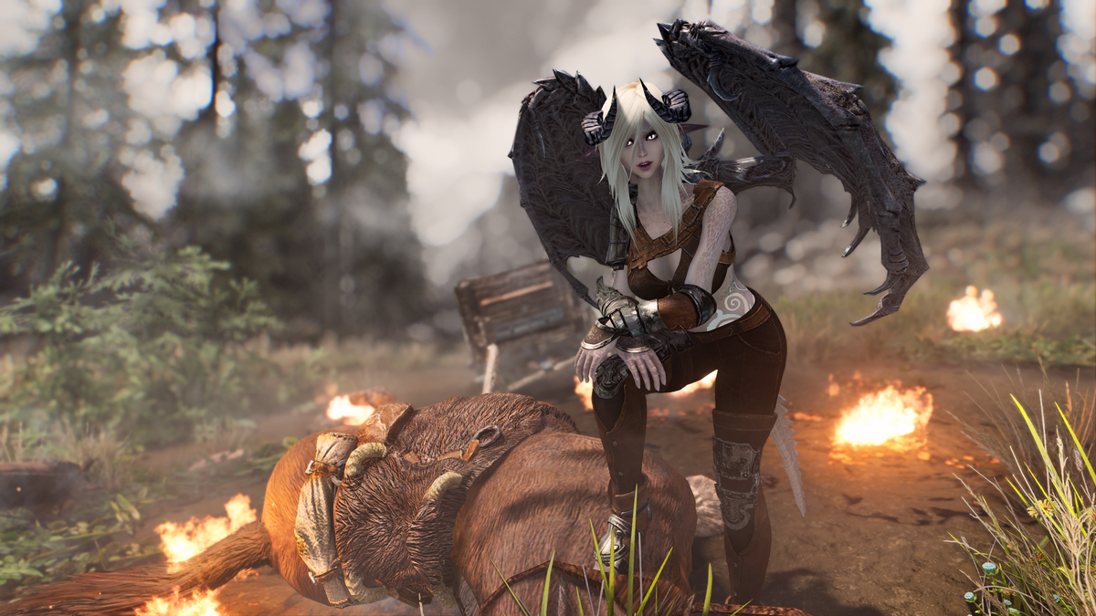 Скриншот из TES:V SE с обработкой автор YoRHa