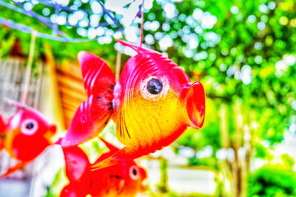 Все фото: Shutterstock.com