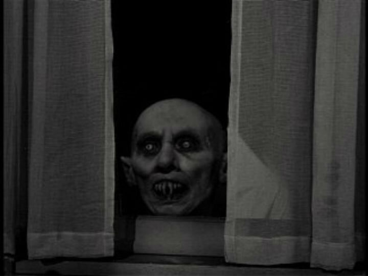 фото взято из открытых источников