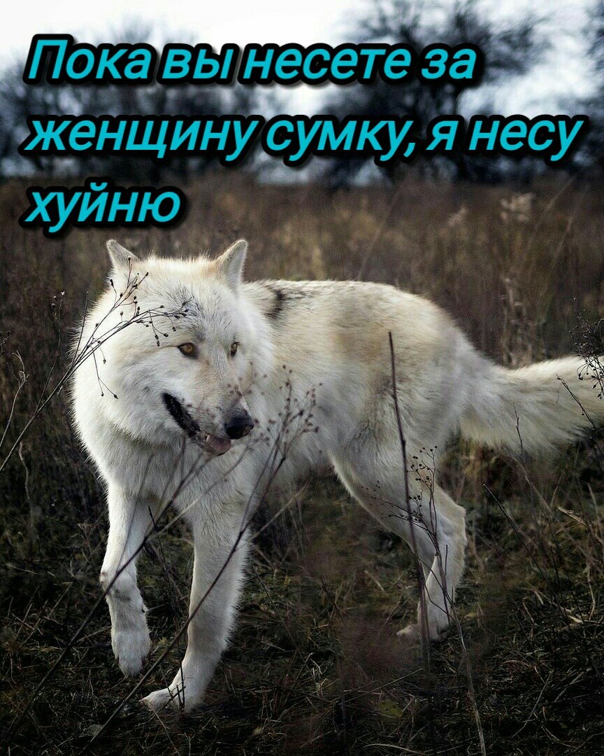 ___________________________________________________