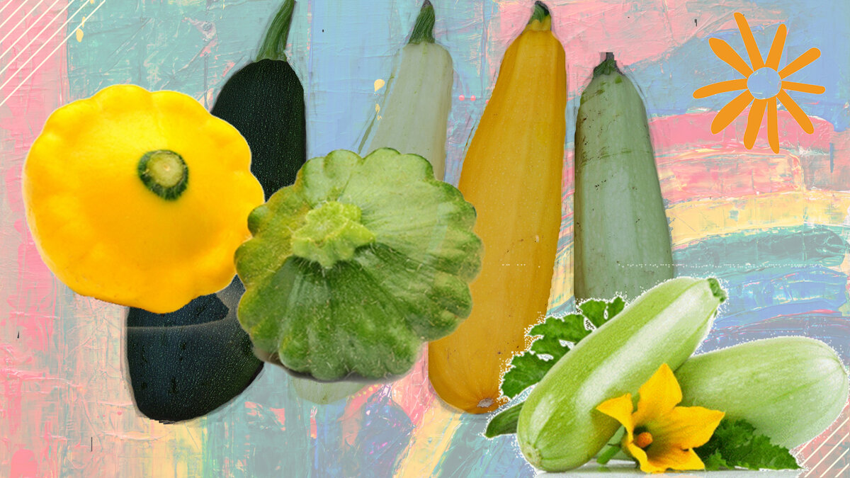 Ставьте лайки, пишите комментарии и не забудьте подписаться на канал!