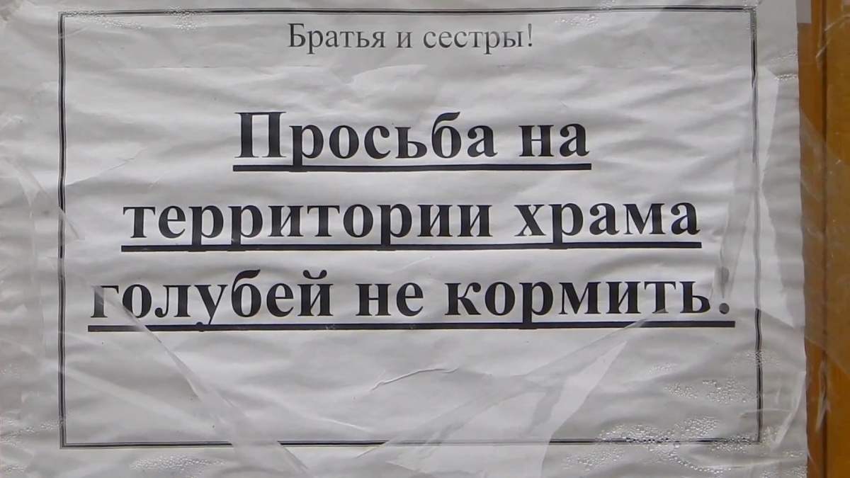 фото из общедоступных интернет-ресурсов