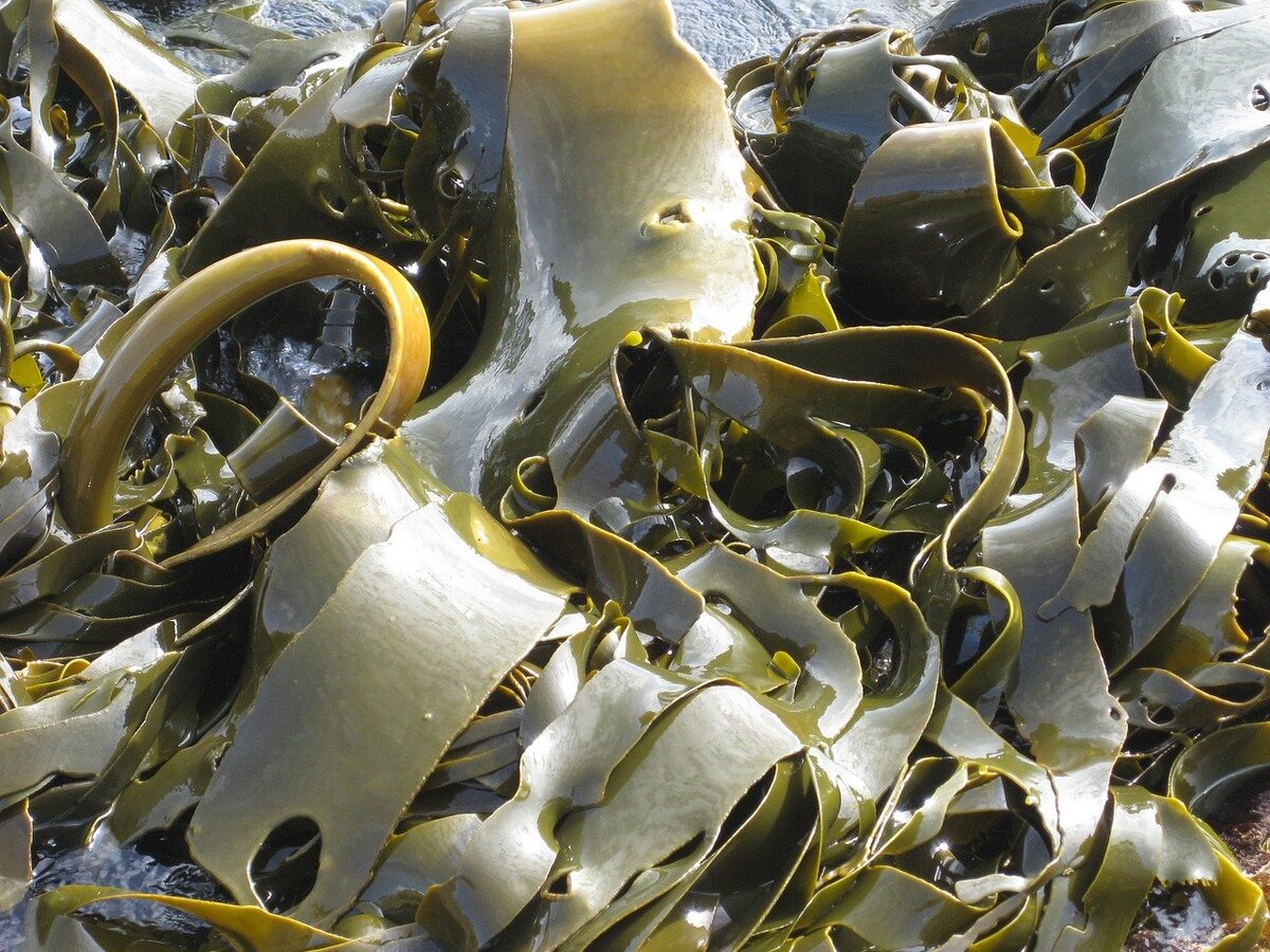 Фото: pixabay.com