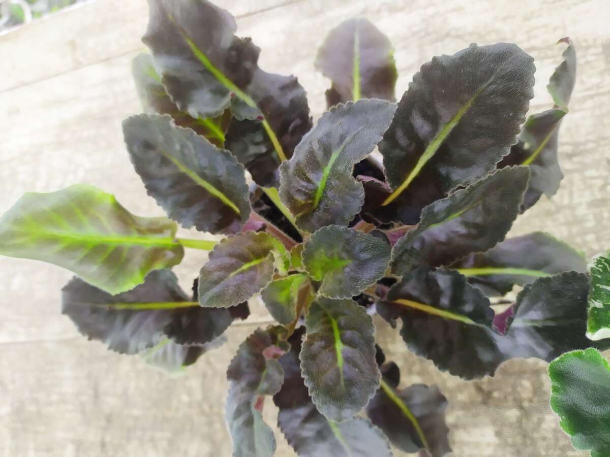 Так сказал один ХОРОШИЙ человек и вот почему: