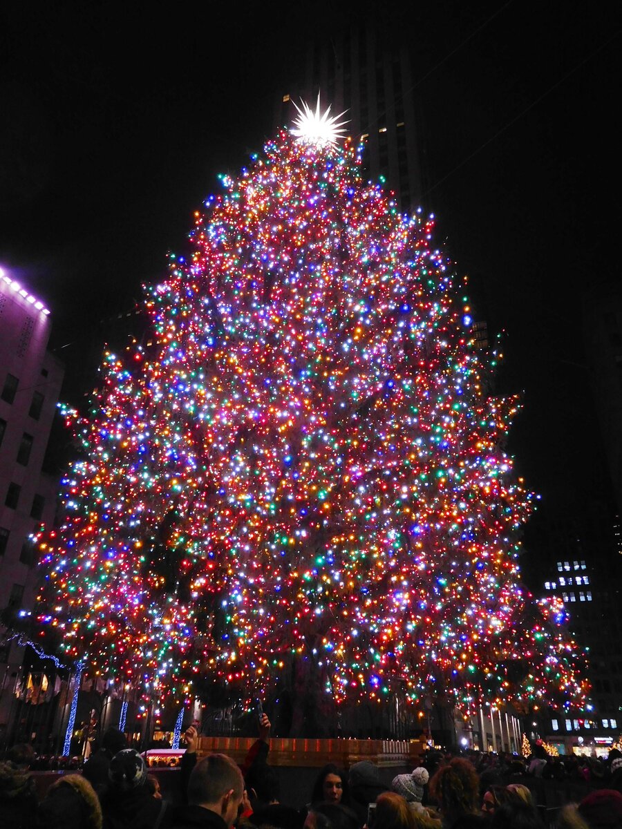  Люди ещё умудряются фотографироваться на фоне елки и... ещё  пары тысяч людей  Фото автора.