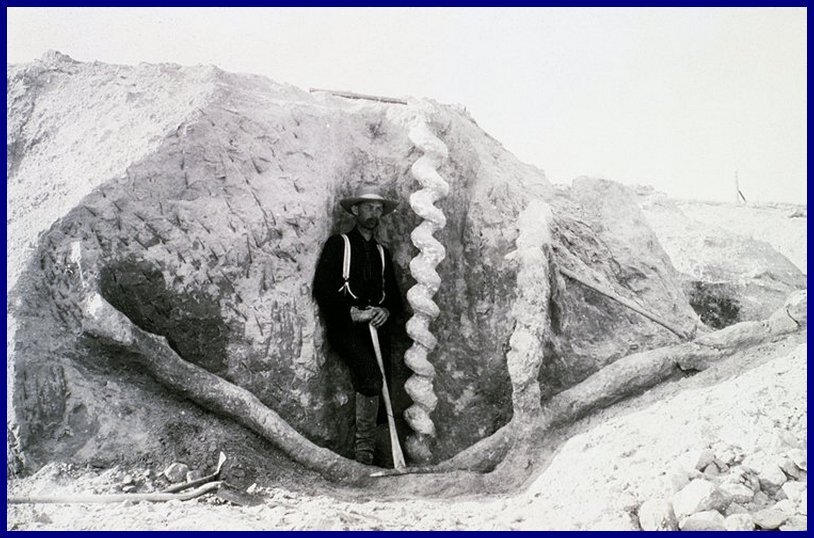 Источник фото: https://s3.nat-geo.ru/images/2019/4/10/412a35e78de74fbe9e43fe0f9fa1f843.max-2000x1000.jpg