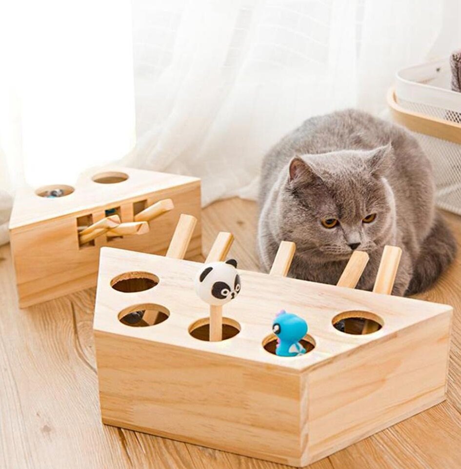 Фото aliexpress.ru