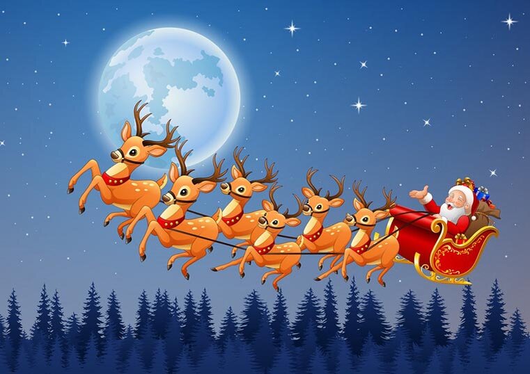 У оленей Санта-Клауса в Европе и в Северной Америке разные имена