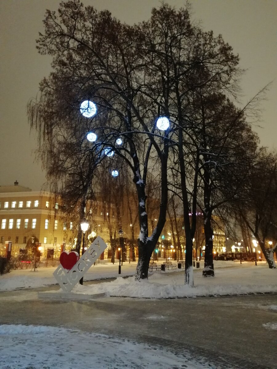 Спроси у тополя и напиши в дзен. Фото из архива автора