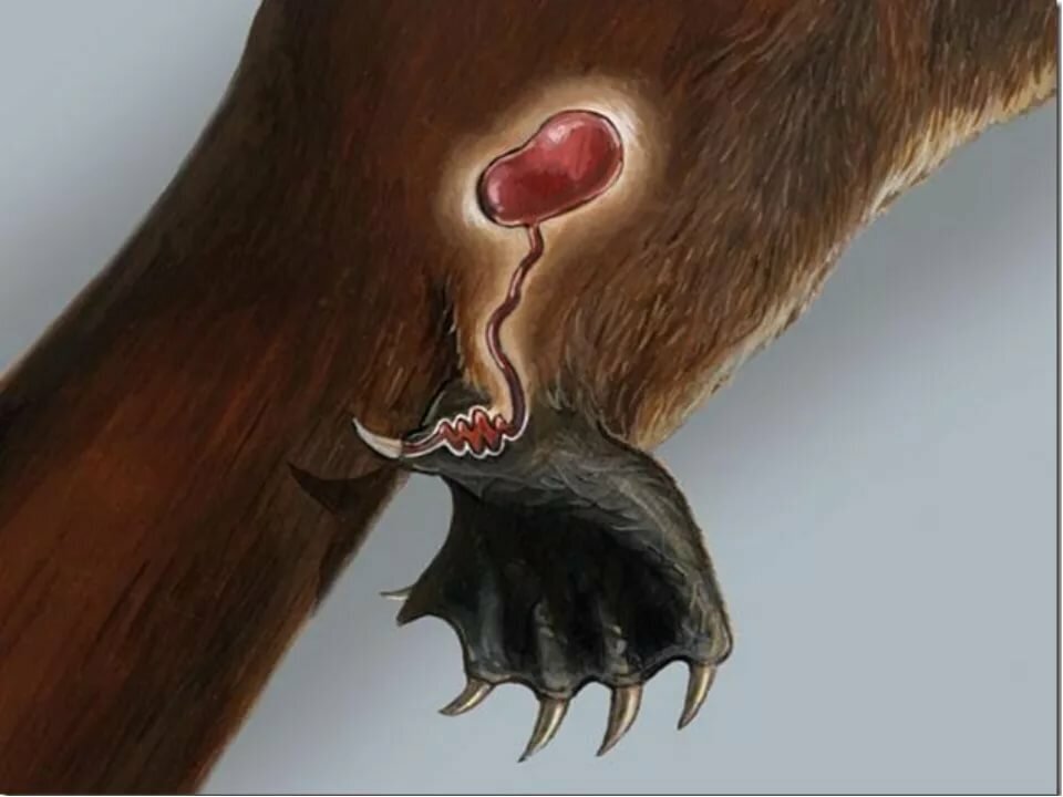 Фото взято из общего доступа