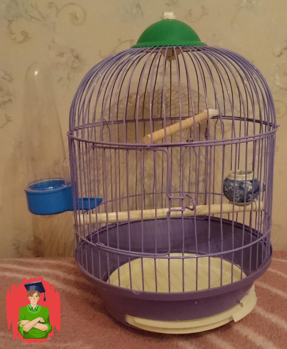 Фиолетовая клетка, использовал ее как переноску, состояние - отличное. 