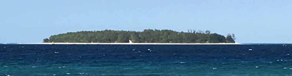 Мнемба. Фото из открытых источников.