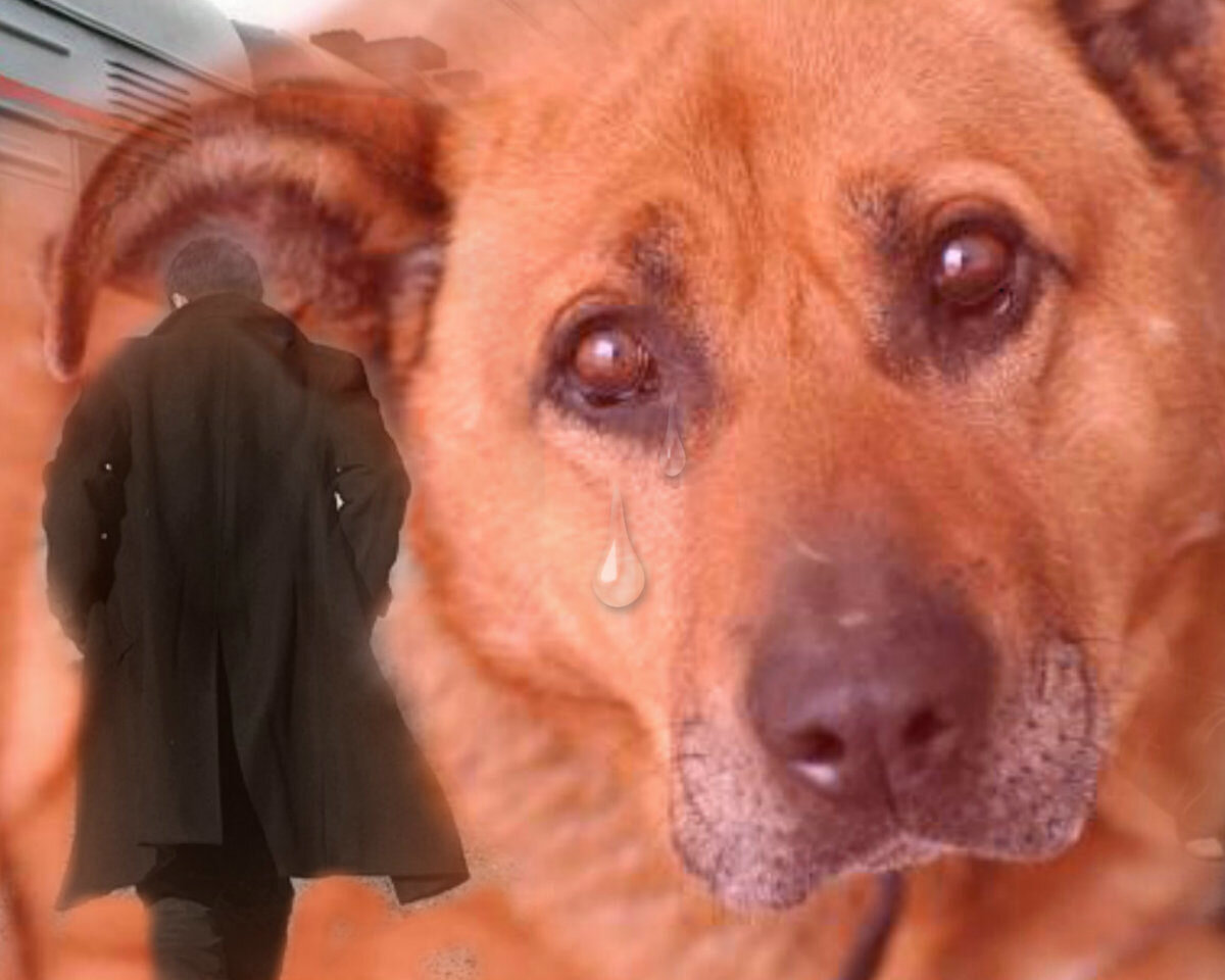 фото яндекс