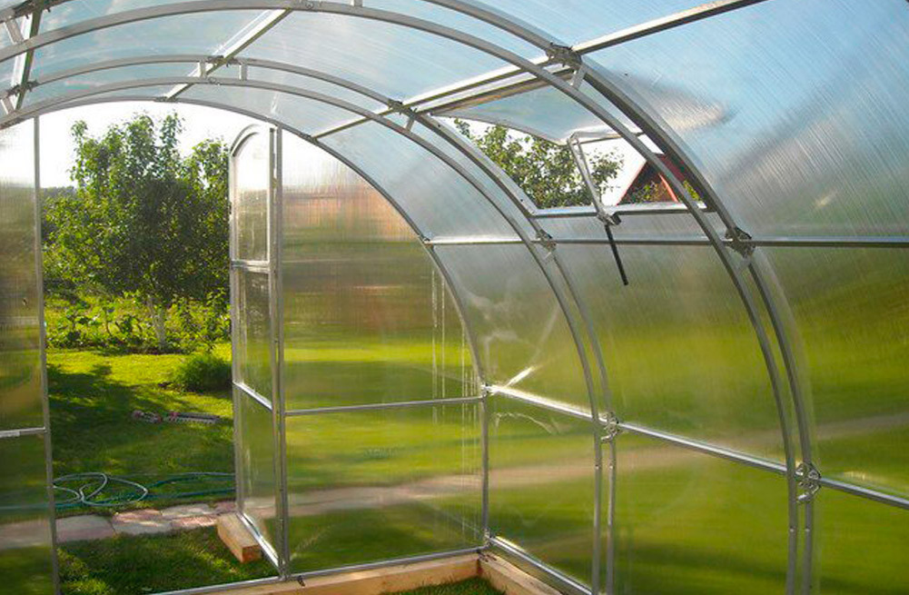 Изображение взято с ресурсов Яндекс фото