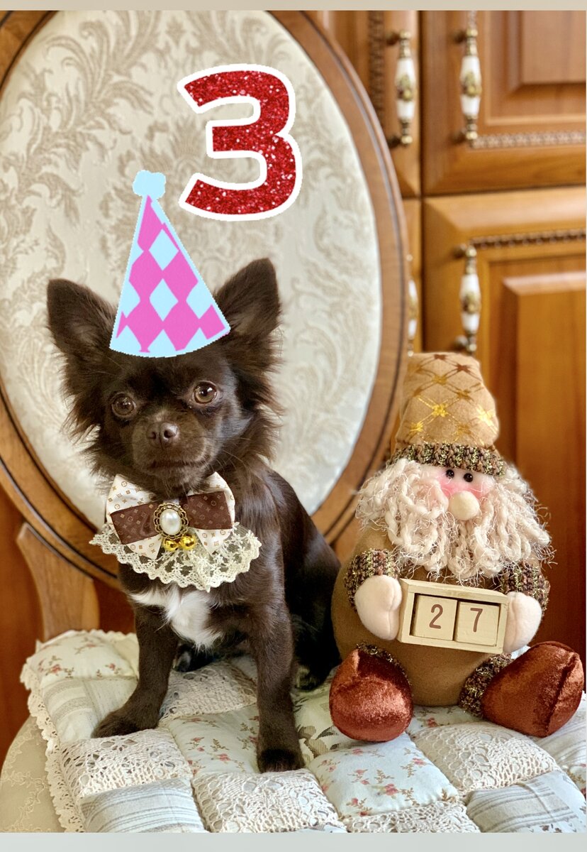 День Варенья. Сварите мне счастья.