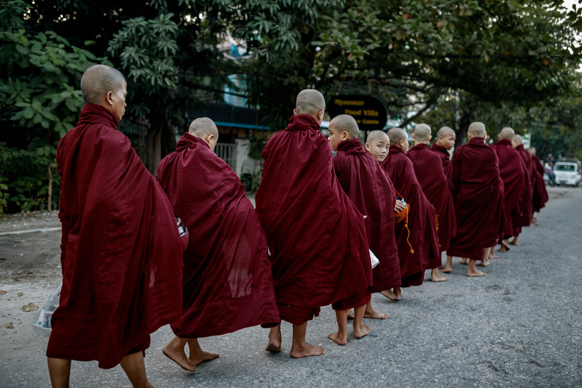 Группа the Monks