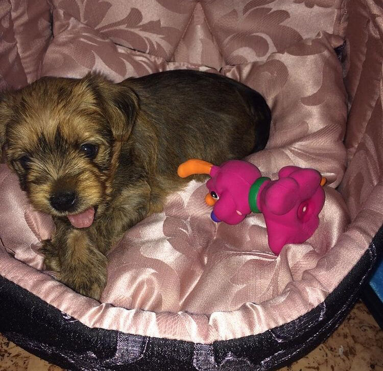 Это первая фотография дома 