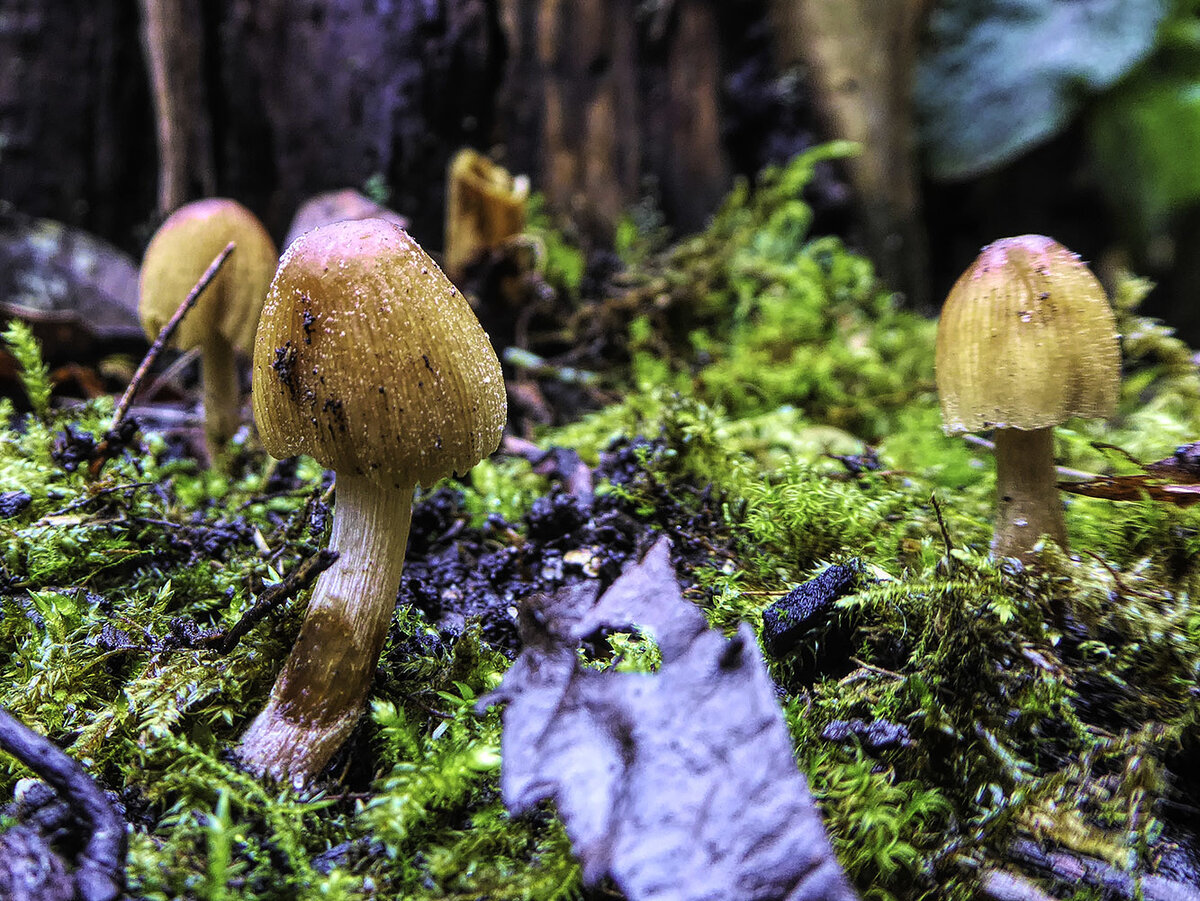 Andrea. То, что ест автор
