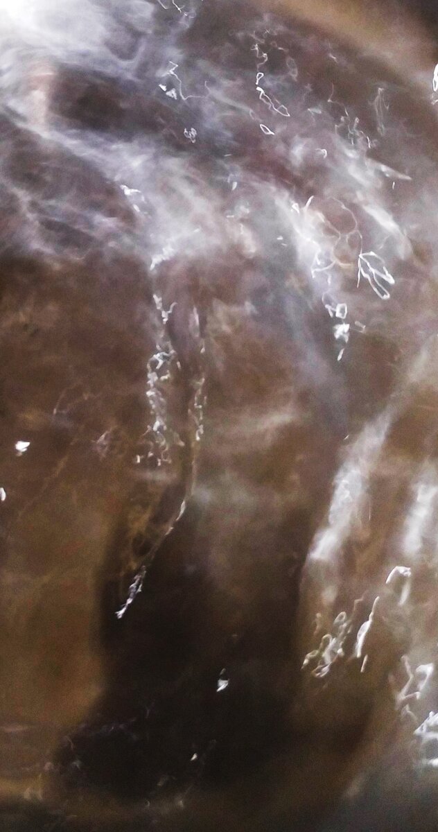 Снимок автора, женщина в длинном платье.