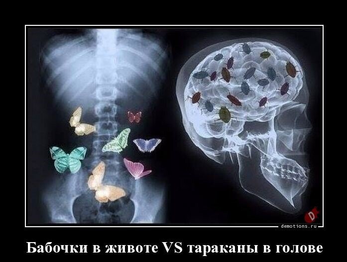 Фотка не моя, но понравилась - авторство сохранено :-)