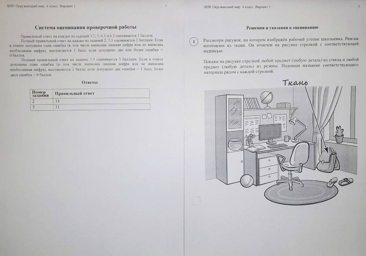 Описание картинки впр 7 класс