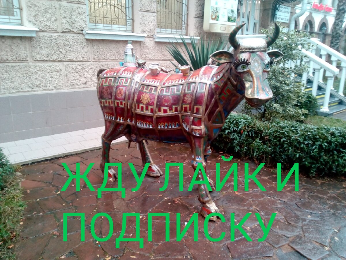 Будем копить вместе