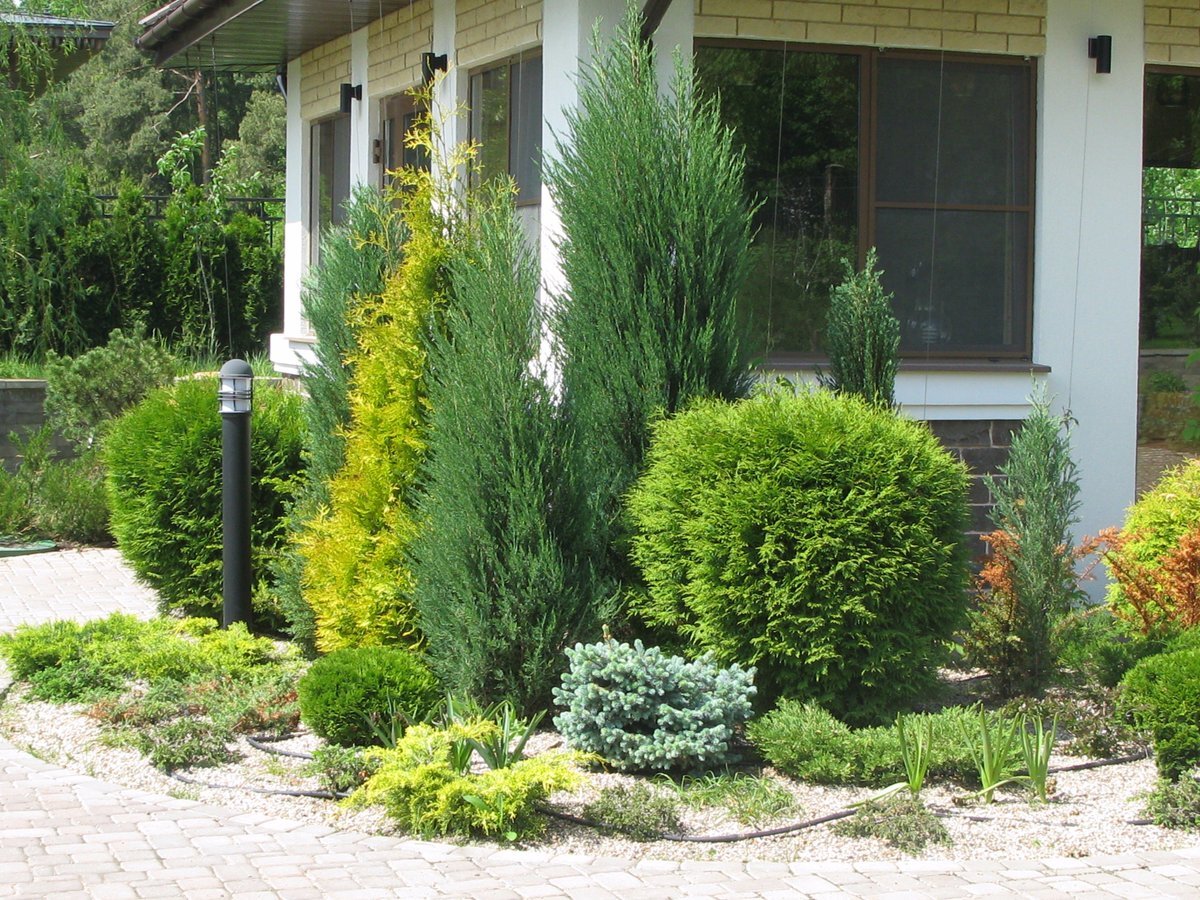 Из открытых источников