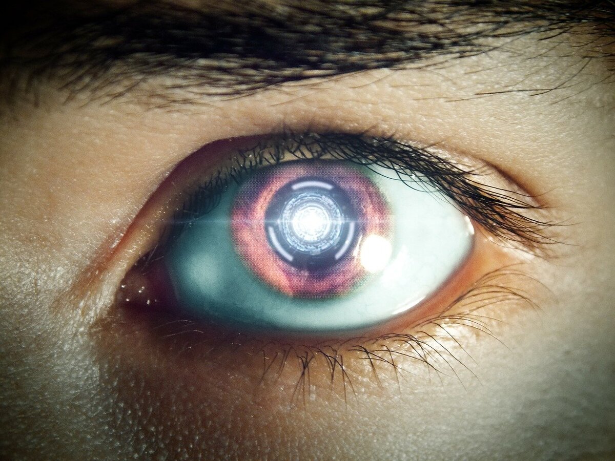 Image by Angel-Kun from Pixabay   


