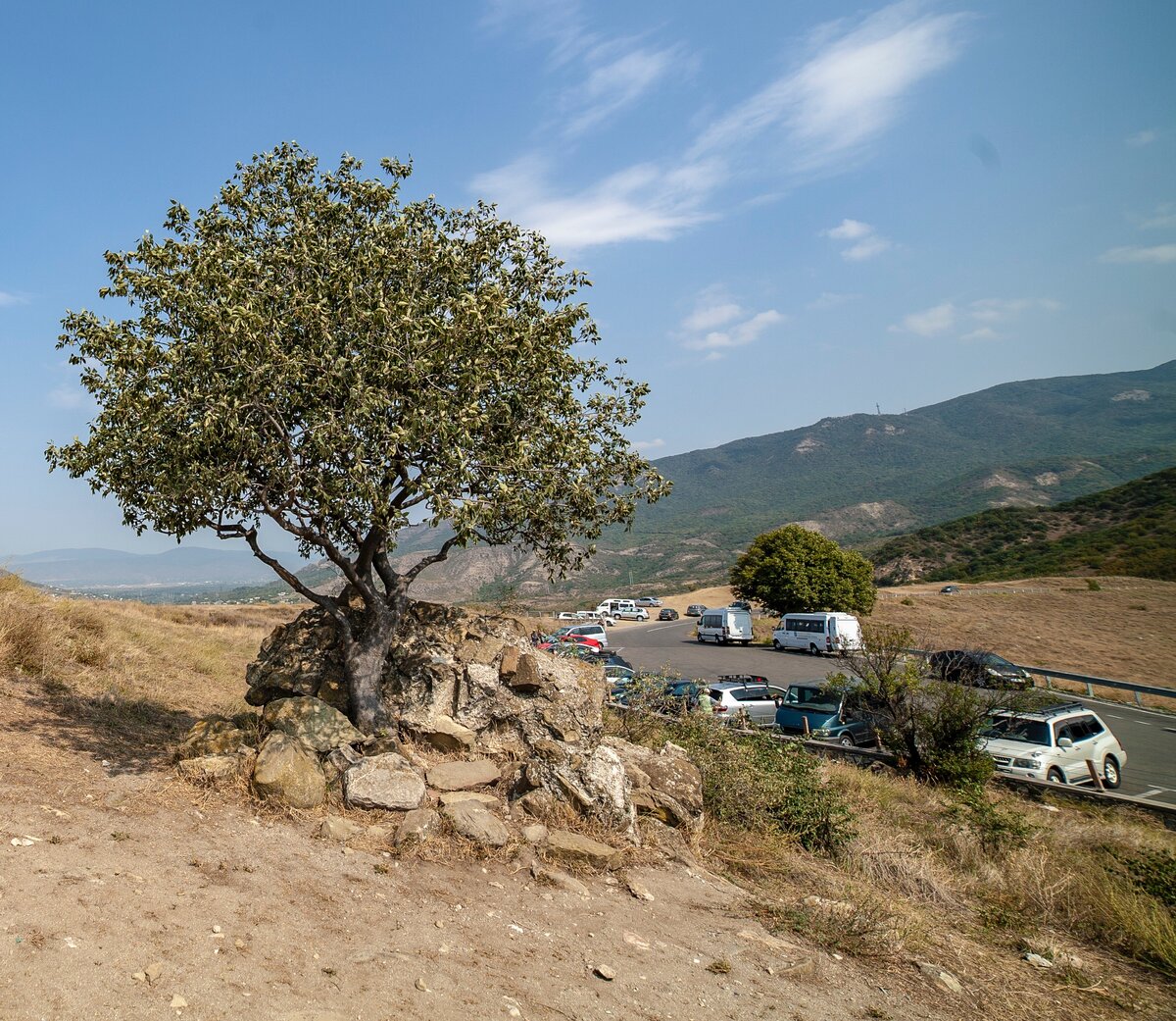 Стоянка рядом с монастырем Джвари, где нас высадил таксист)