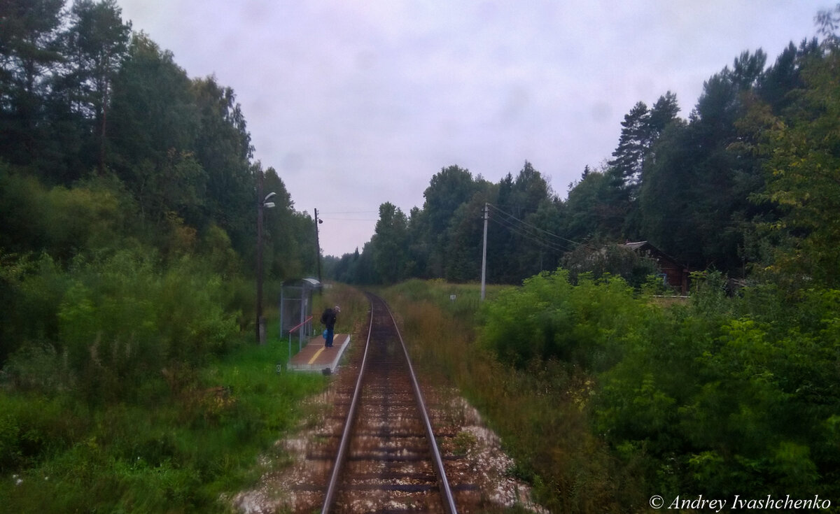 Поездка по железнодорожной линии Ижевск-Воткинск. | Прохожий с  фотоаппаратом | Дзен