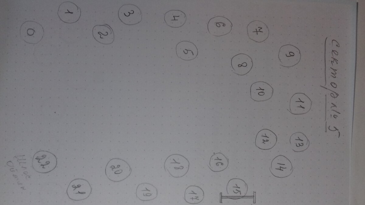 Сектор №5. Полукруг в конце газоне (в шахматном порядке слева - направо)