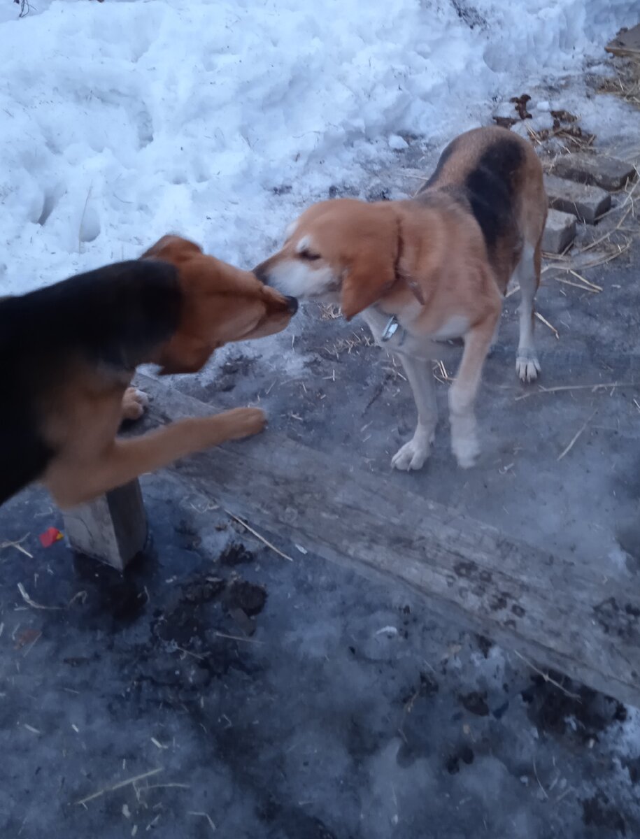 Все будет хорошо. 