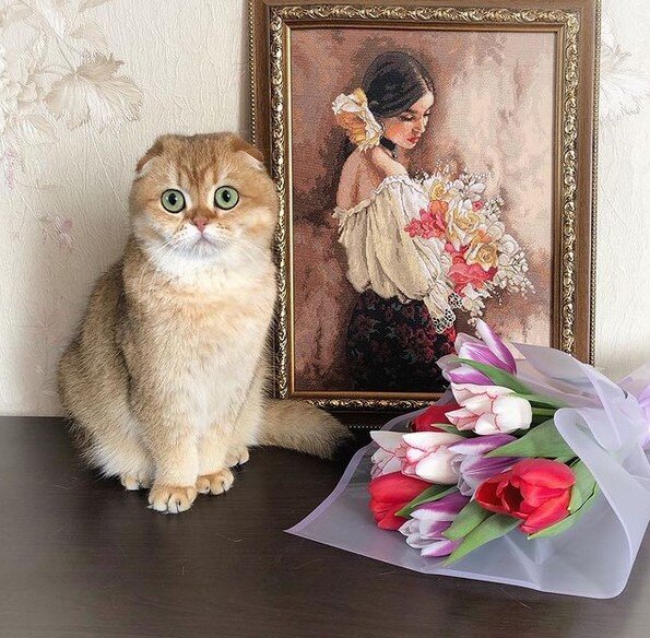 Фото @_olga_egorova__