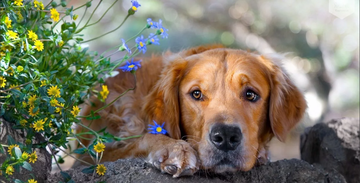 Фото из общедоступных источников