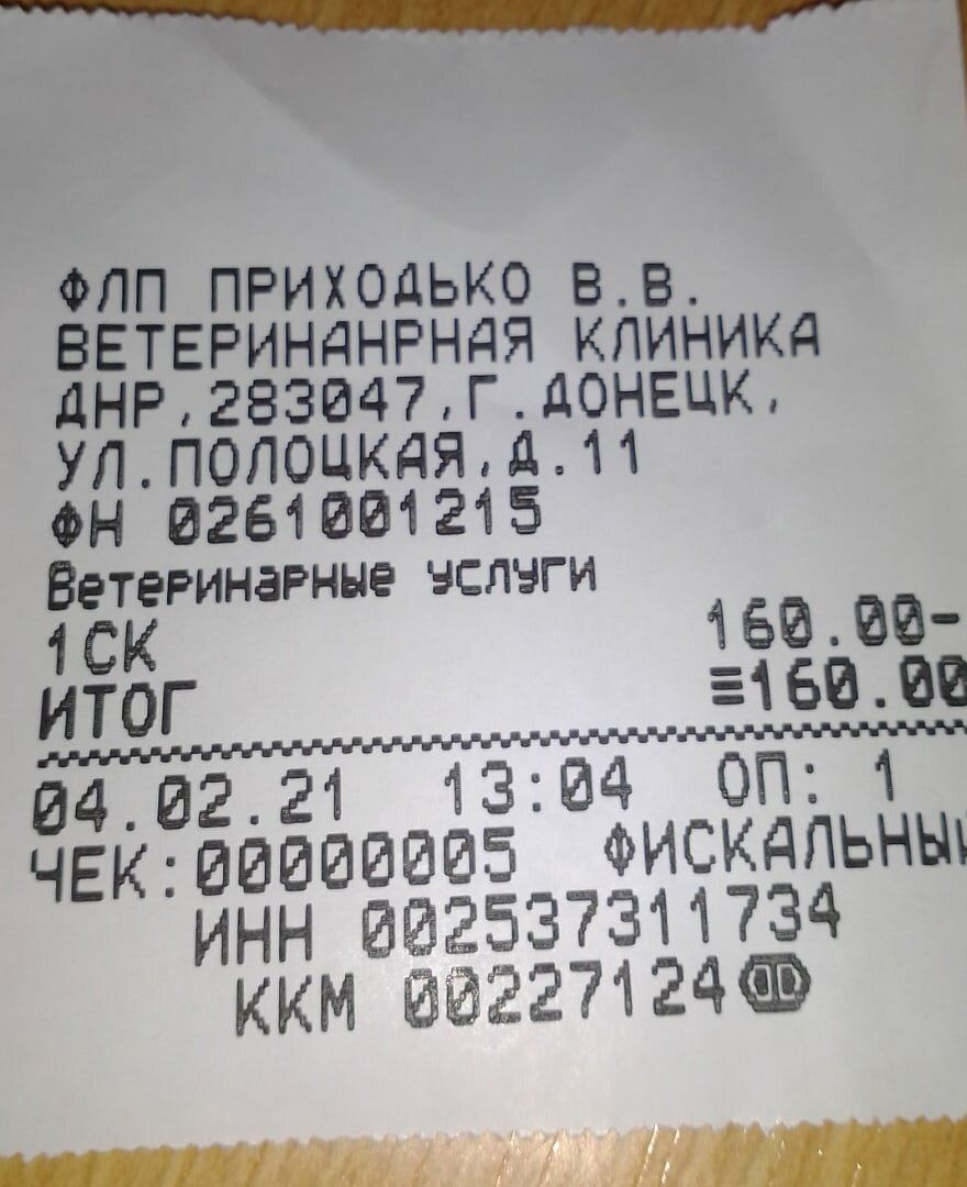 Котик Симба: мальчик трусишка, поэтому волонтеру всегда нужно что-то  придумывать! | Блог #Мими_кися | Дзен