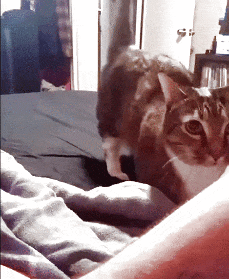 Дай поесть, пожалуйста!