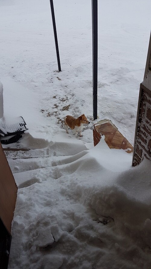 Фото автора.